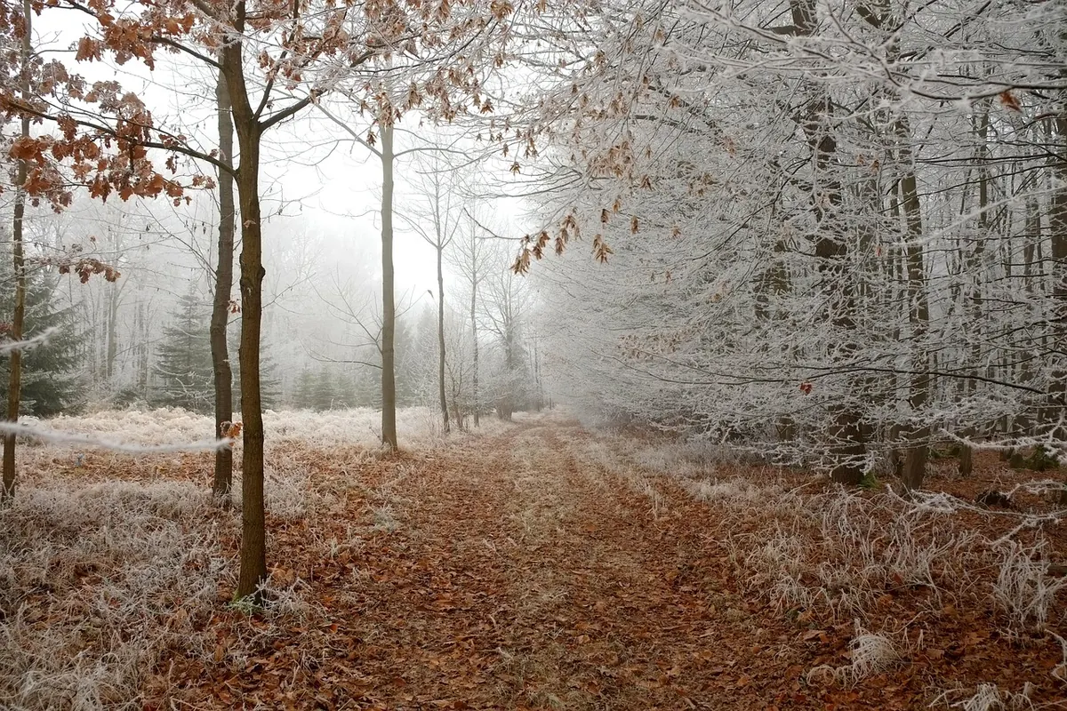 Seasonal Story Starters: 20 Autumn Writing Prompts for Short Fiction